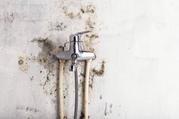 Best Residential Mold Removal  in Lake Kiowa, TX